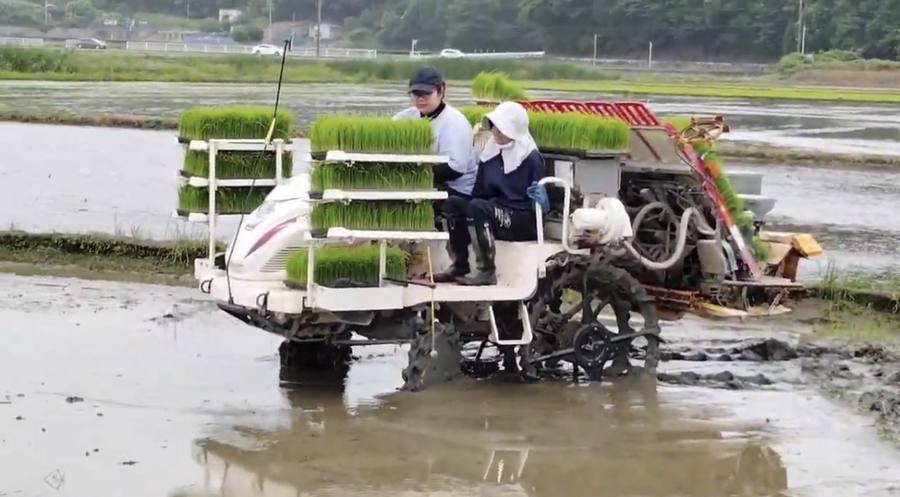やまも製茶